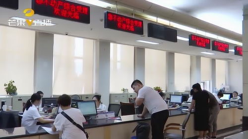 常德公开中介服务机构名单 助市民办事查询更便捷